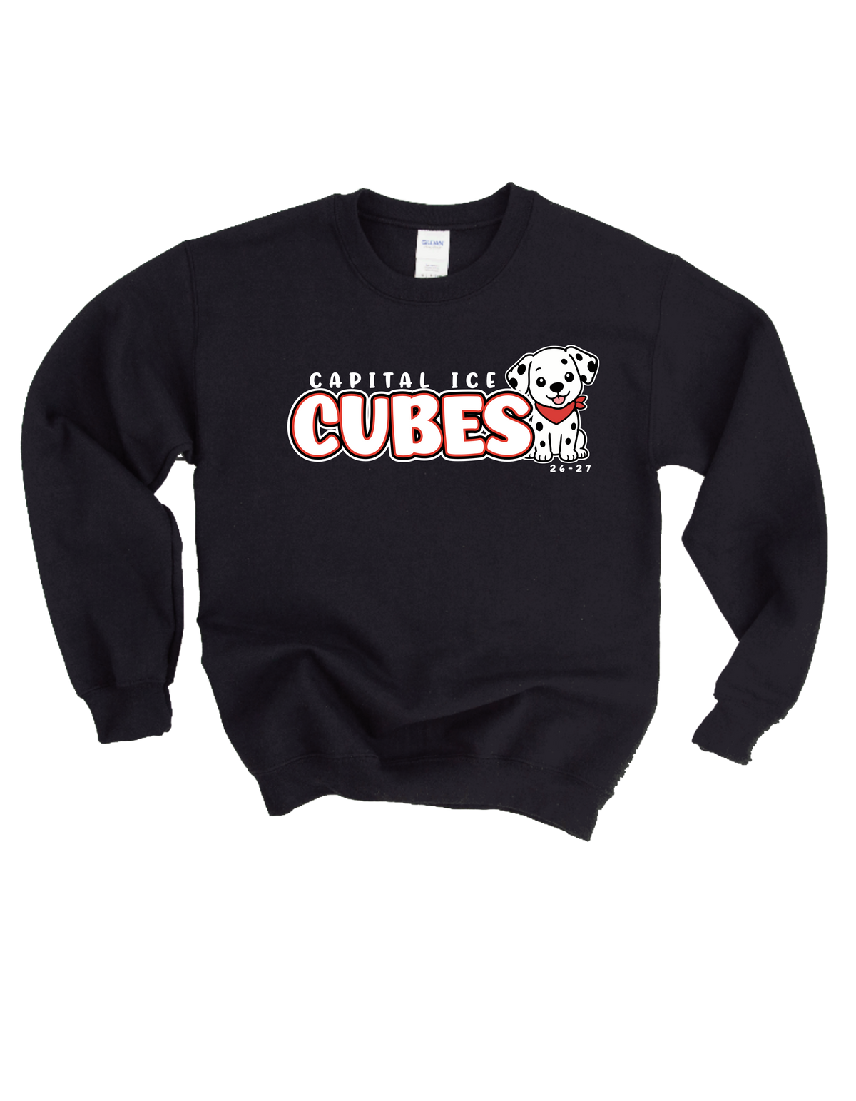 Cubes Crewneck Sweatshirt - Youth Sizes